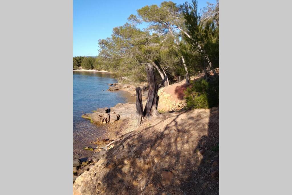 Face Mer Entre Plage Et Marina Bormes-les-Mimosas Exterior photo